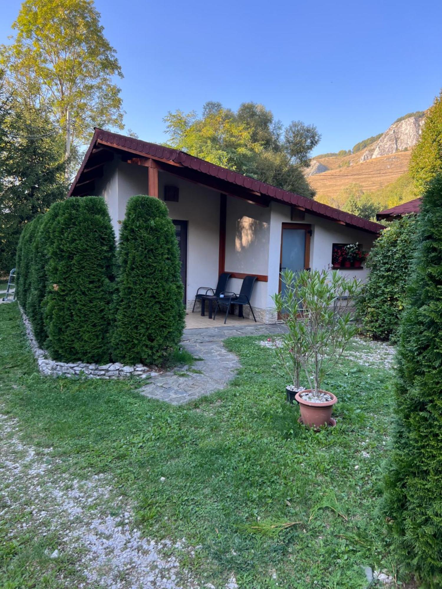 Studiouri Valisoara Zewnętrze zdjęcie