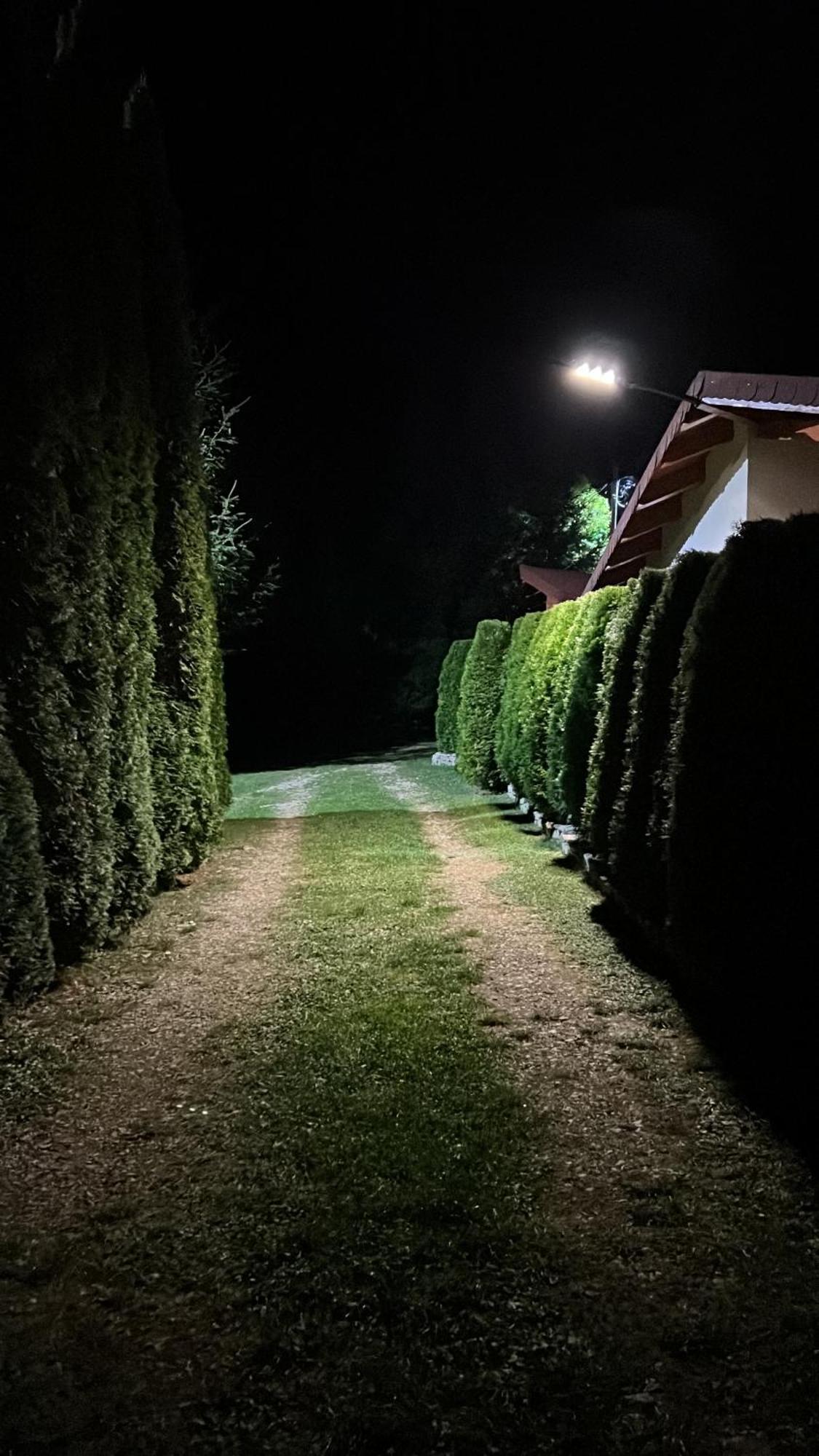 Studiouri Valisoara Zewnętrze zdjęcie