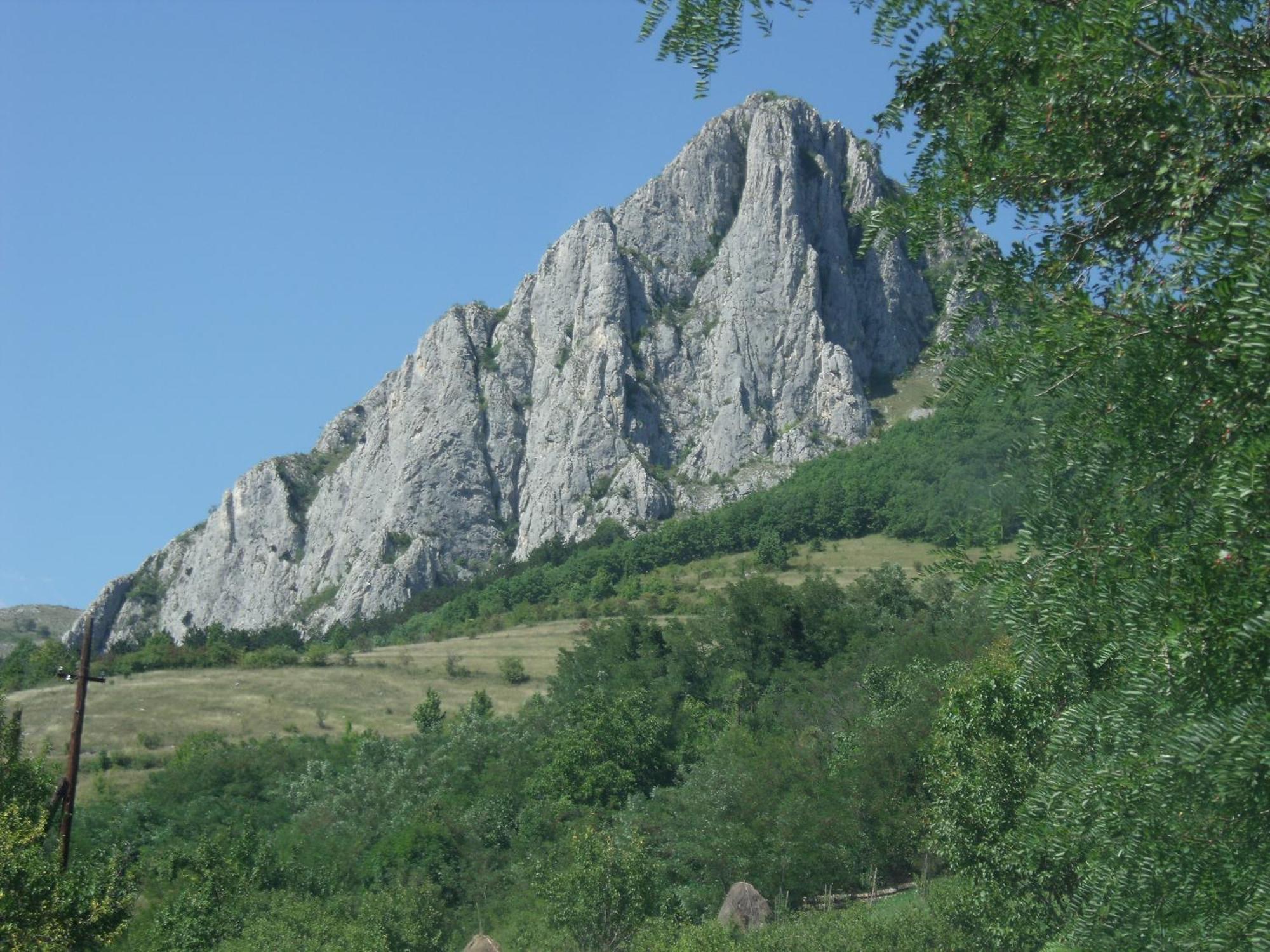 Studiouri Valisoara Zewnętrze zdjęcie