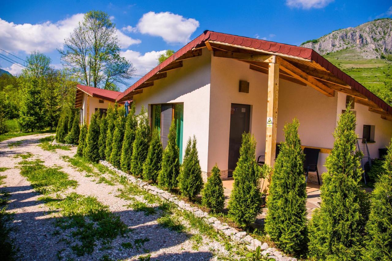 Studiouri Valisoara Zewnętrze zdjęcie
